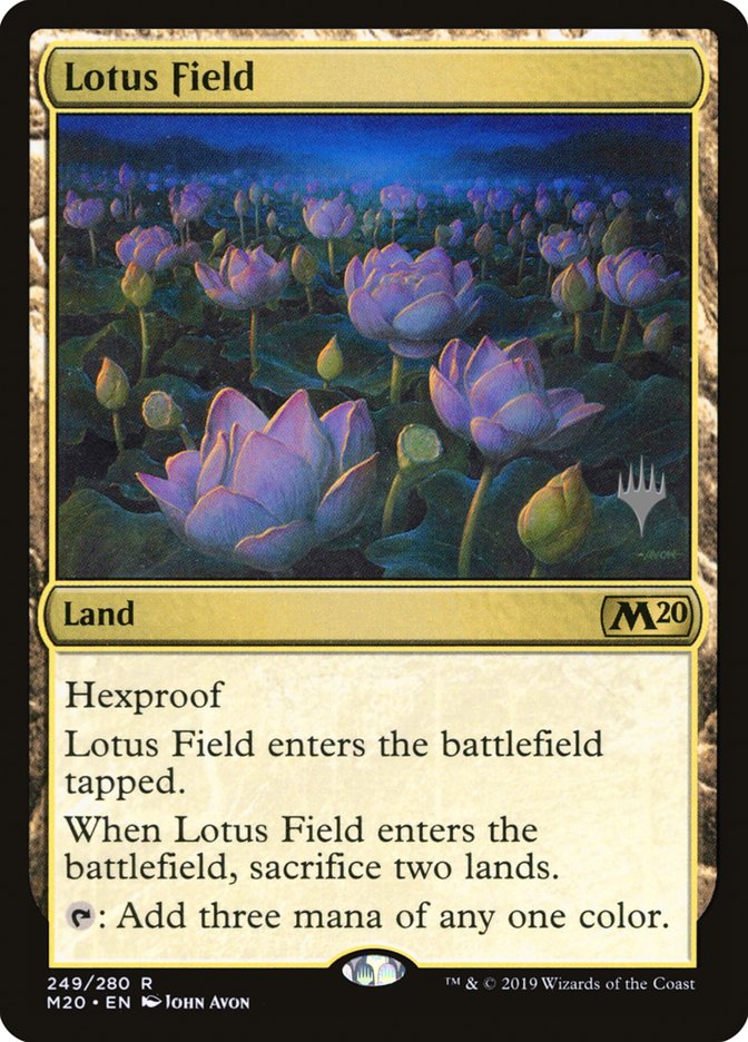image Lotus Field