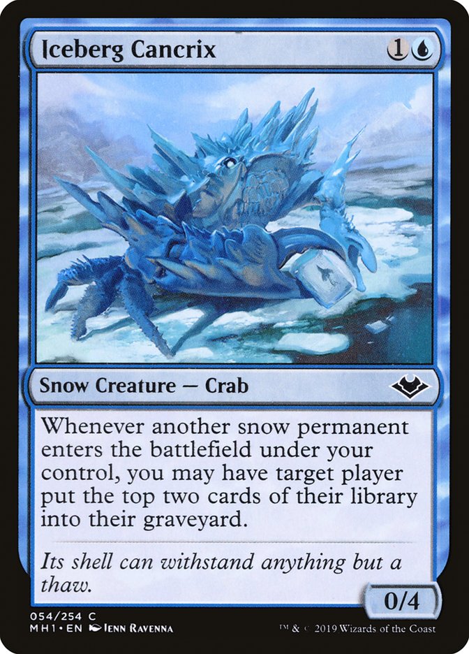 image Iceberg Cancrix