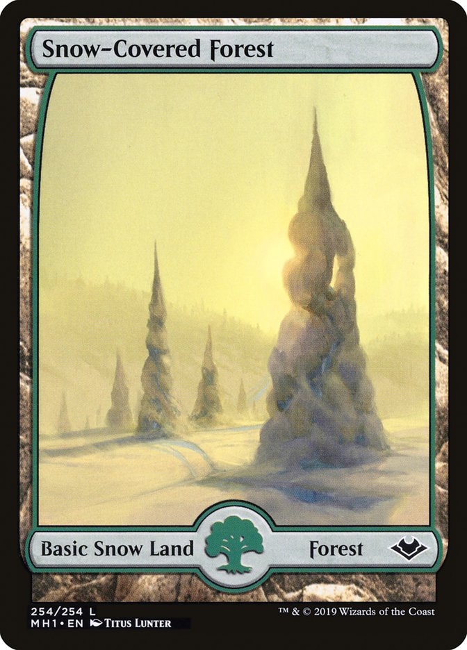 image Snow-Covered Forest