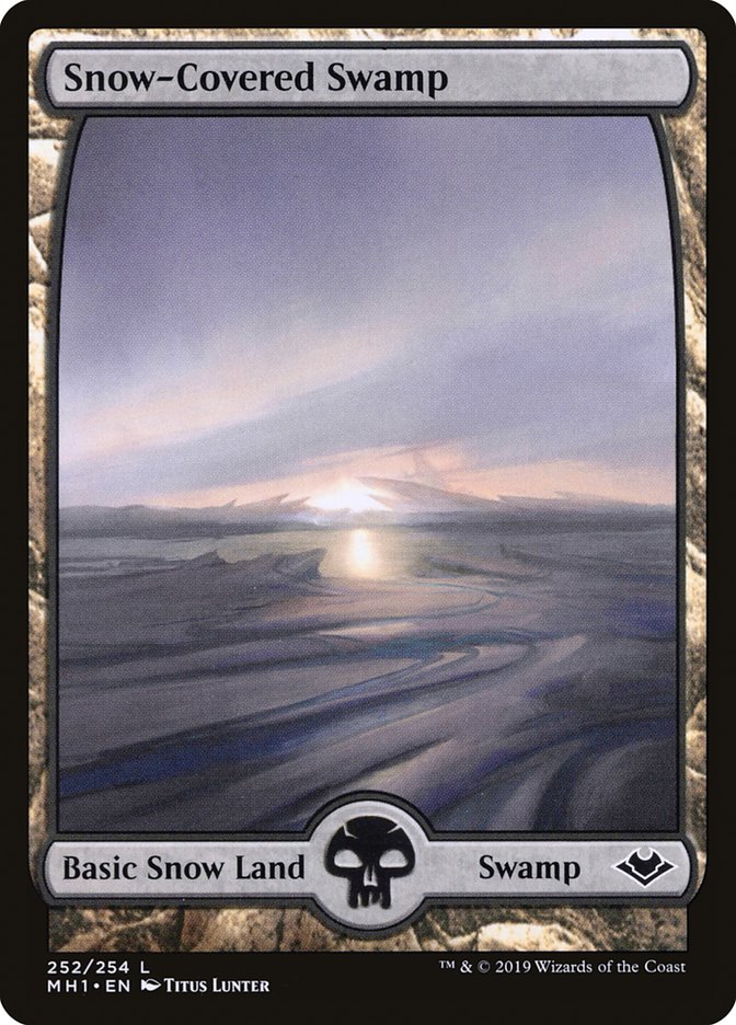 image Snow-Covered Swamp