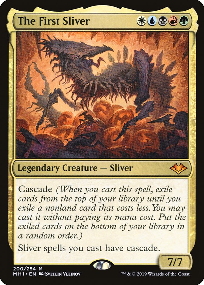 image The First Sliver