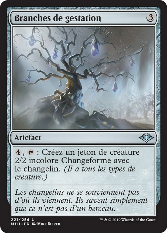 image Branches de gestation