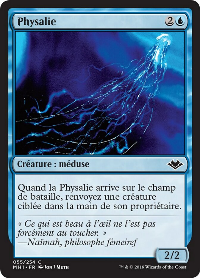 image Physalie