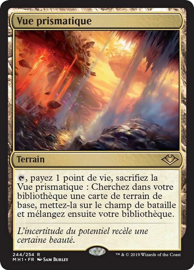 image Vue prismatique
