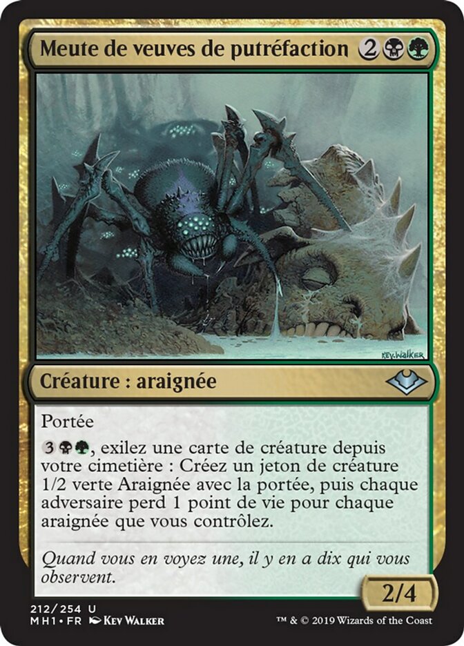 image Meute de veuves de putréfaction