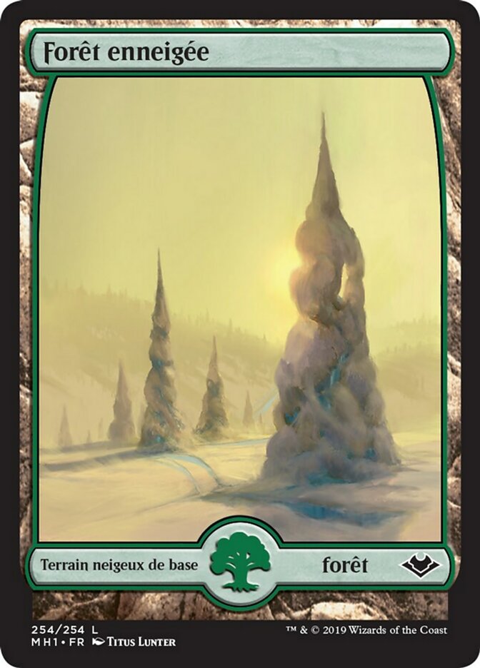 image Forêt enneigée
