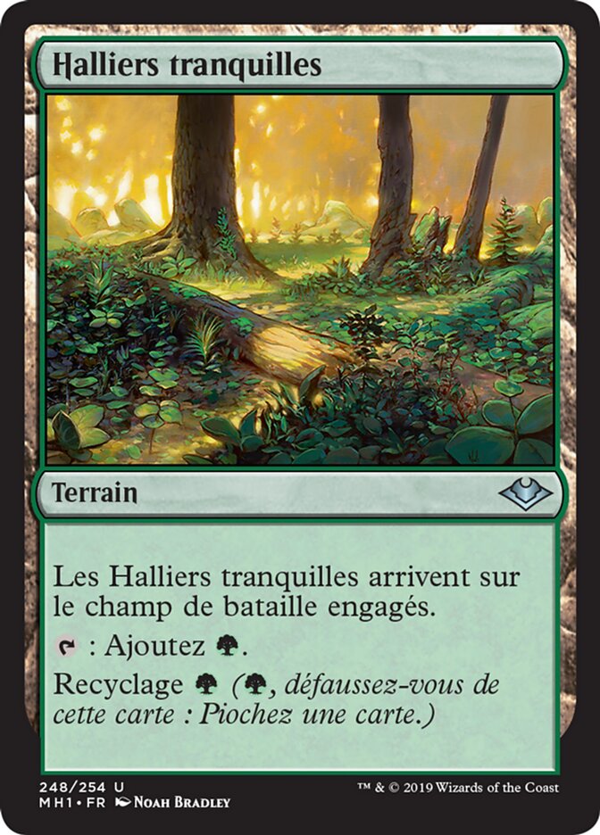 image Halliers tranquilles