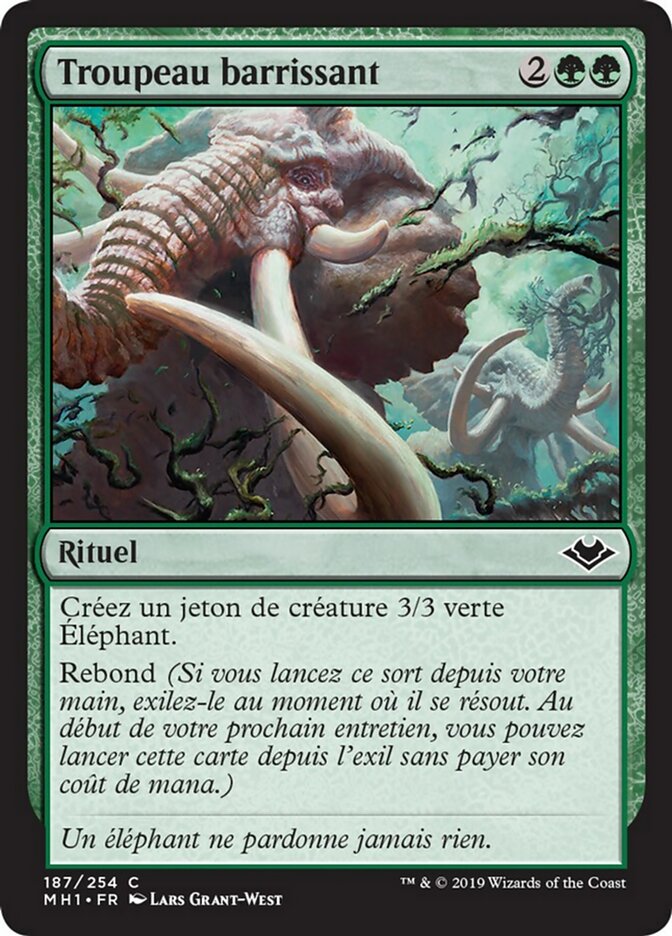 image Troupeau barrissant