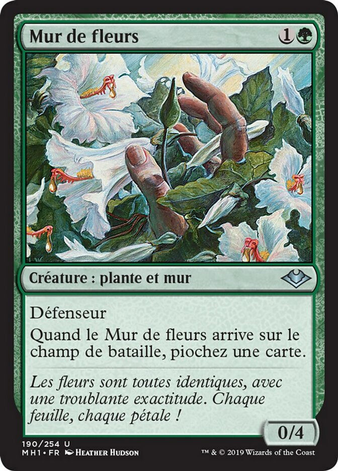 image Mur de fleurs