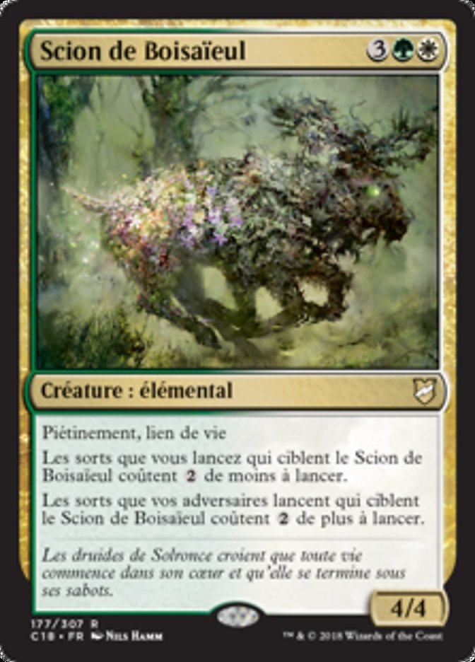 image Scion de Boisaïeul