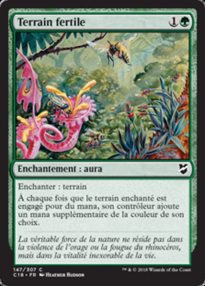 image Terrain fertile