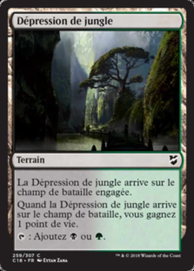 image Dépression de jungle