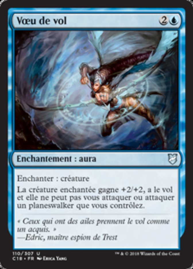 image Vœu de vol