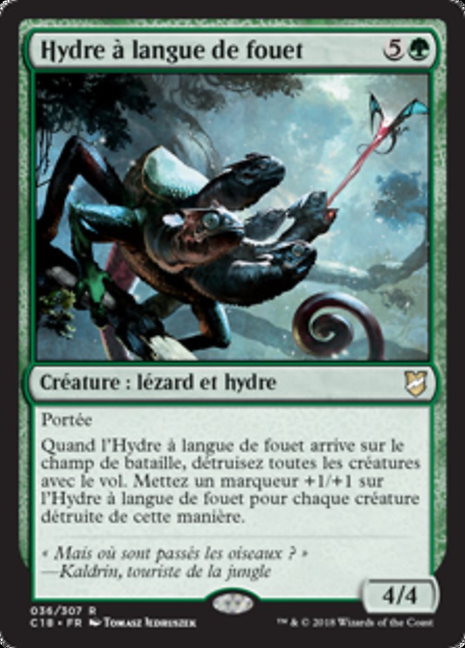 image Hydre à langue de fouet