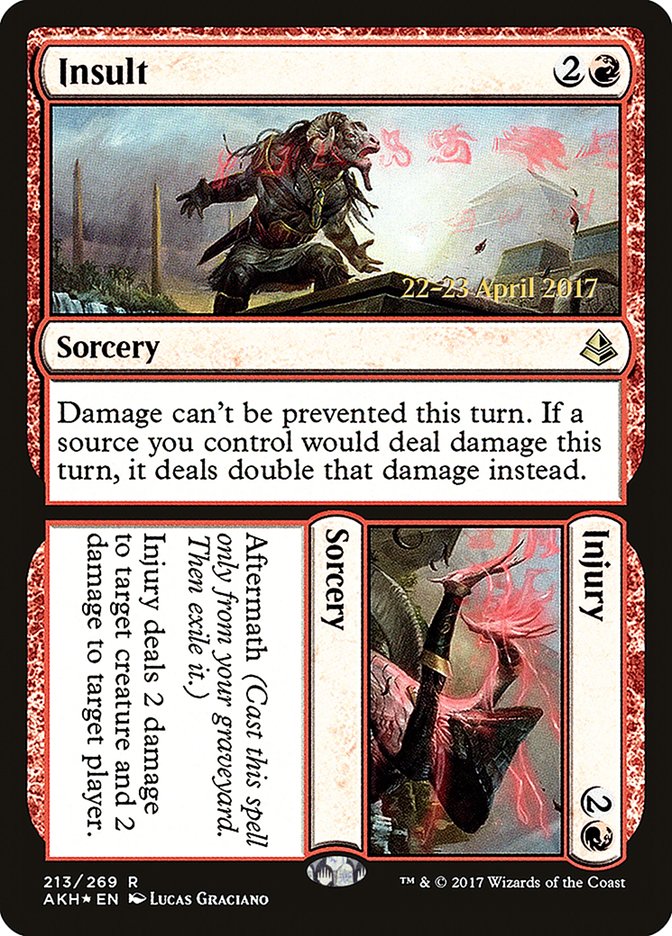 image Insult // Injury