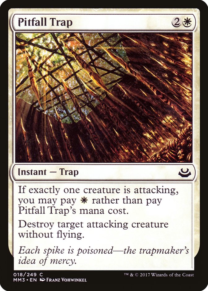 image Pitfall Trap
