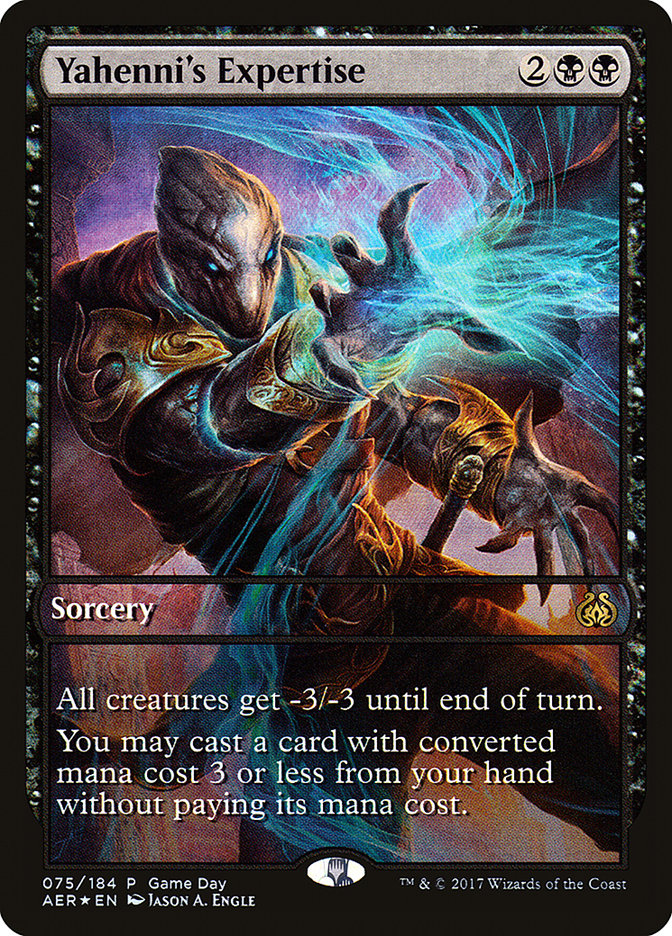 image Yahenni's Expertise