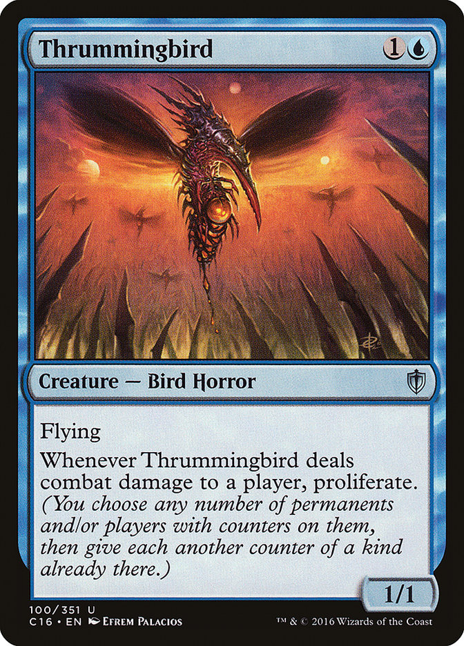image Thrummingbird