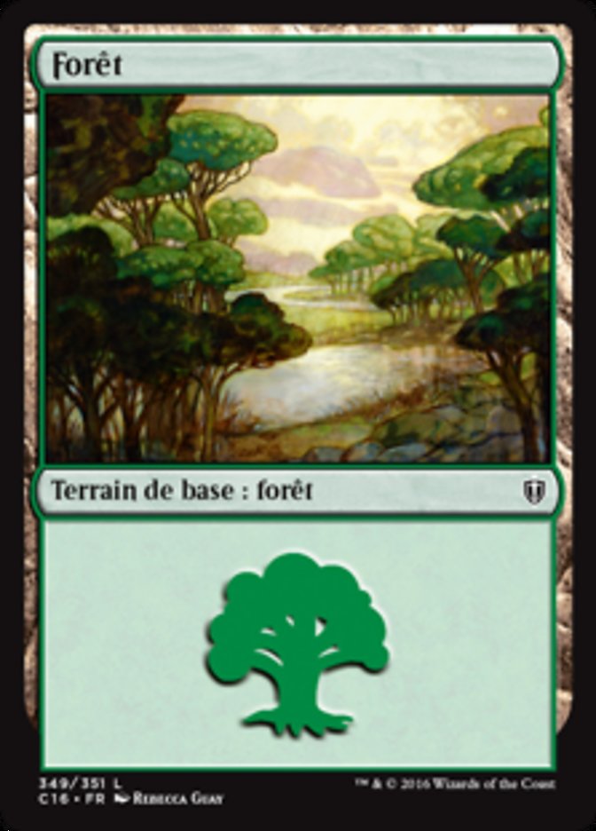 image Forêt