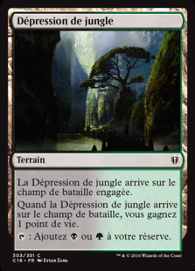 image Dépression de jungle