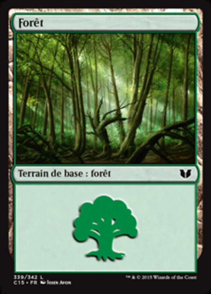 image forêt