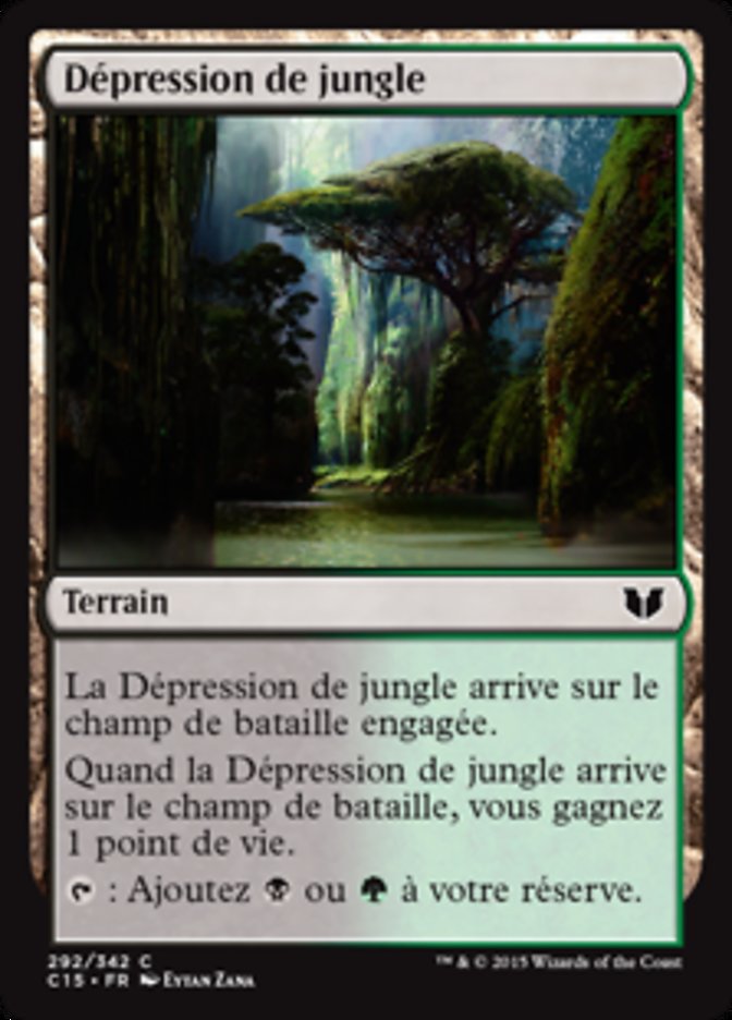 image Dépression de jungle