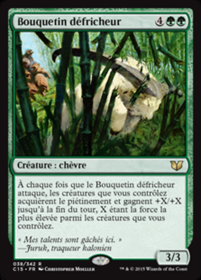 image Bouquetin défricheur