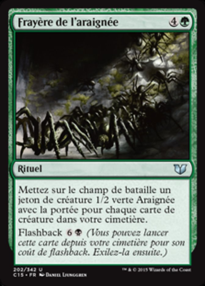 image Frayère de l'araignée