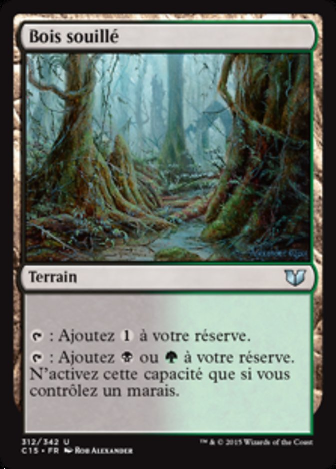 image Bois souillé
