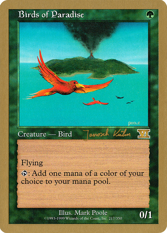 image Birds of Paradise