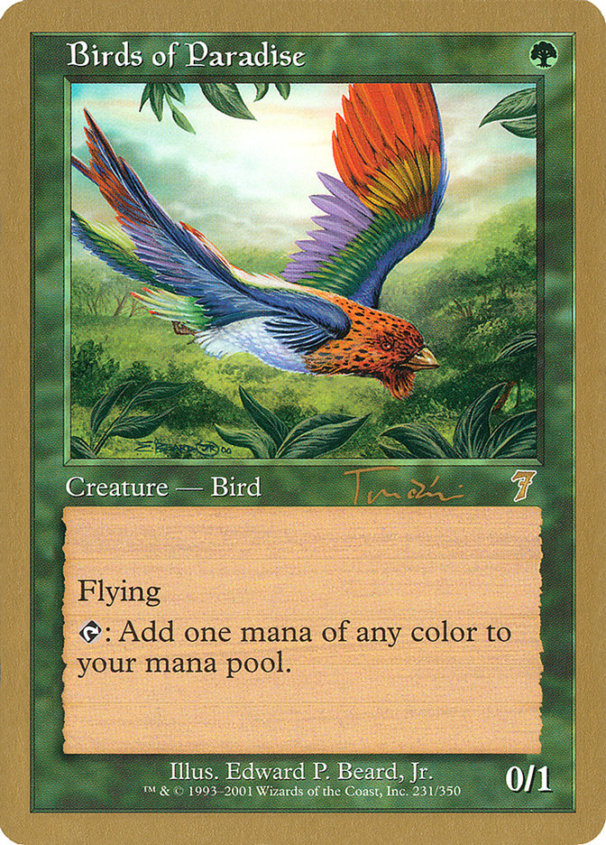 image Birds of Paradise