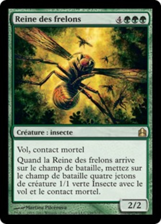 image Reine des frelons