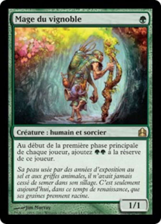 image Mage du vignoble