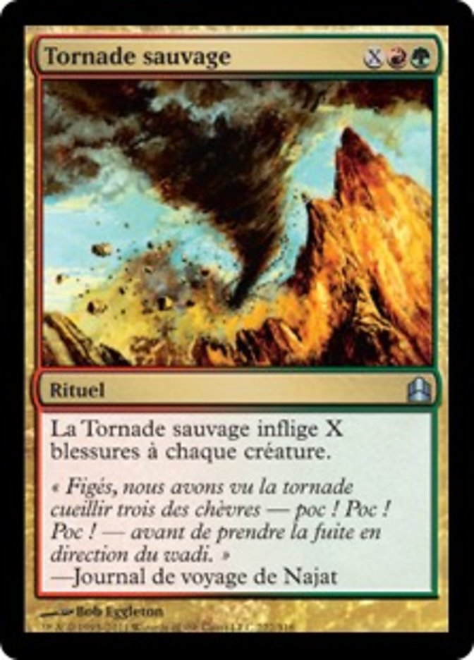 image Tornade sauvage