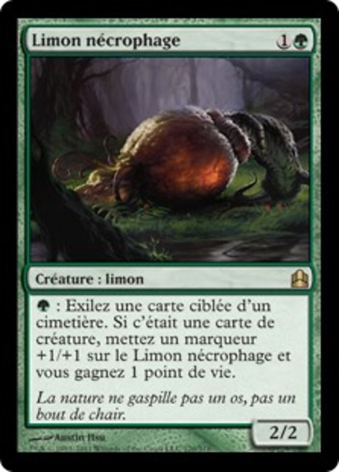 image Limon nécrophage