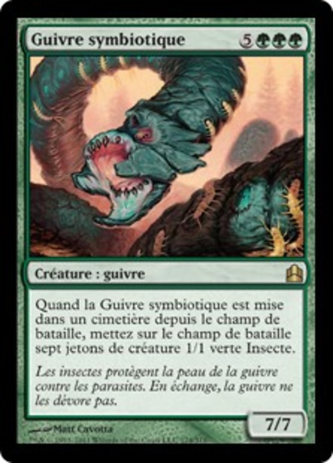image Guivre symbiotique