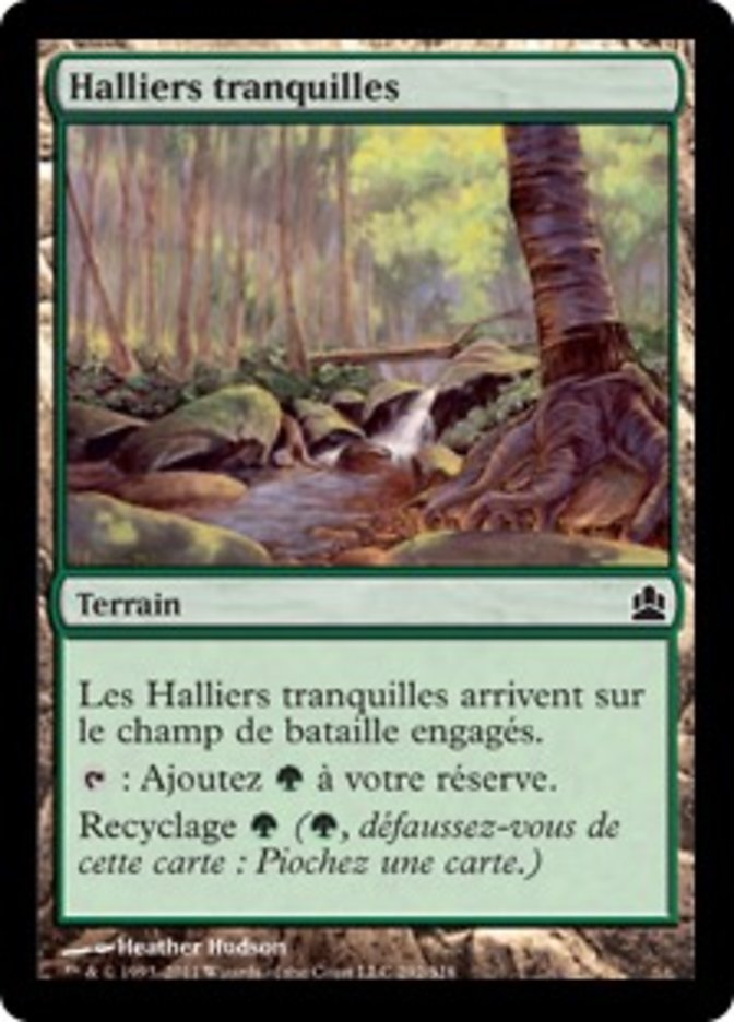 image Halliers tranquilles