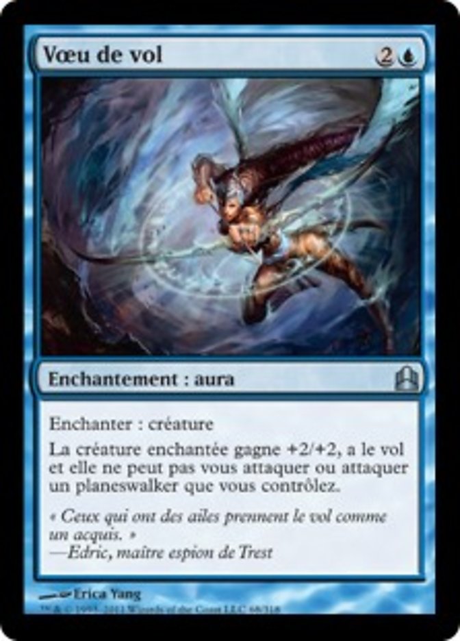 image Vœu de vol