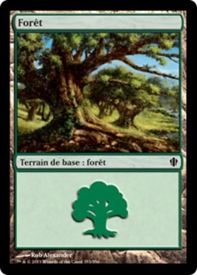 image Forêt