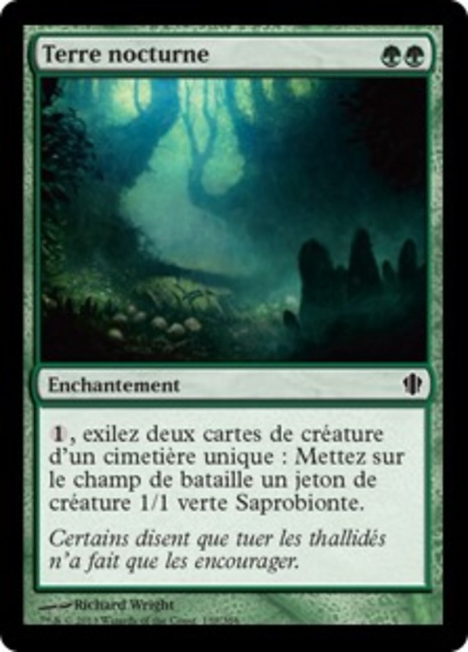 image Terre nocturne