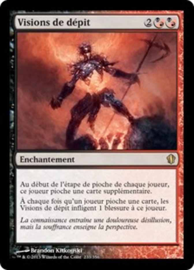 image Visions de dépit
