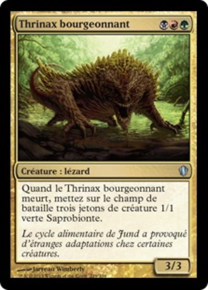 image Thrinax bourgeonnant