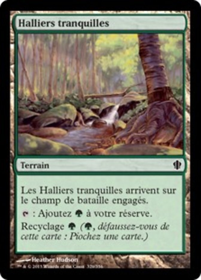 image Halliers tranquilles