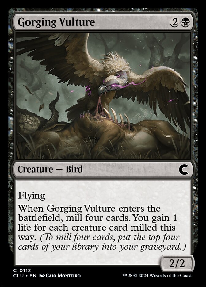 image Gorging Vulture