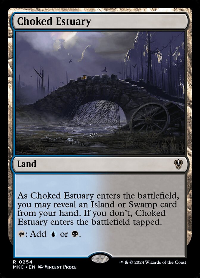 image Choked Estuary