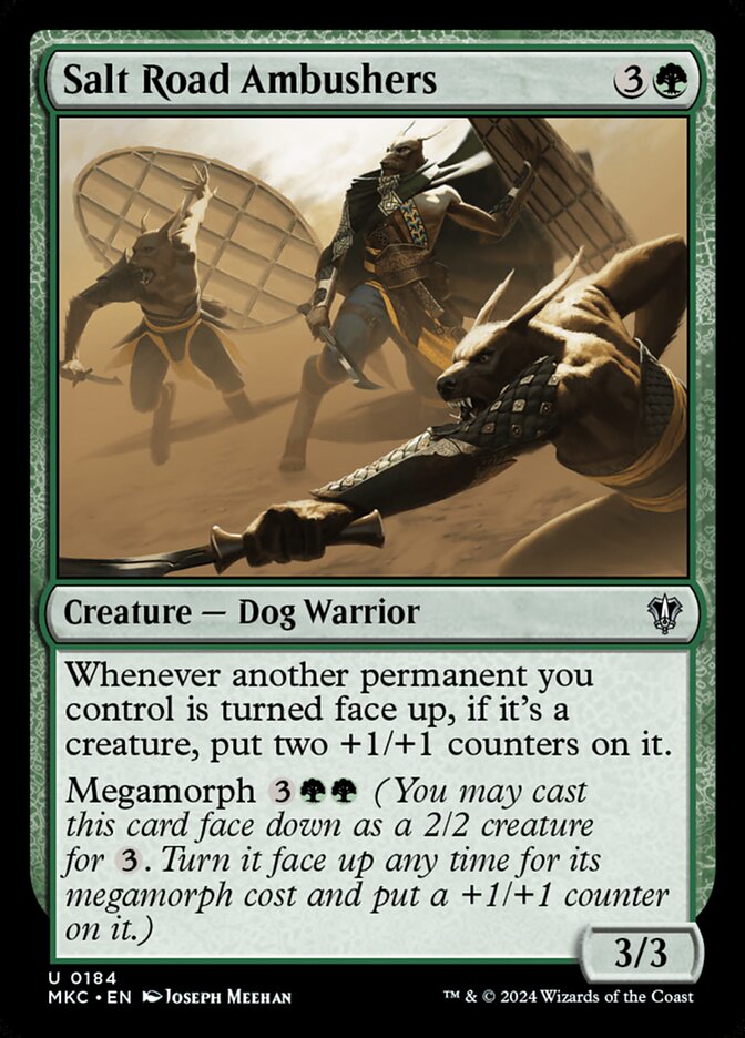 image Salt Road Ambushers