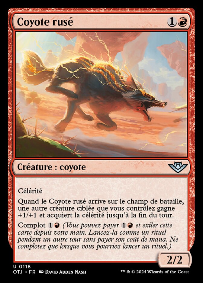 image Coyote rusé