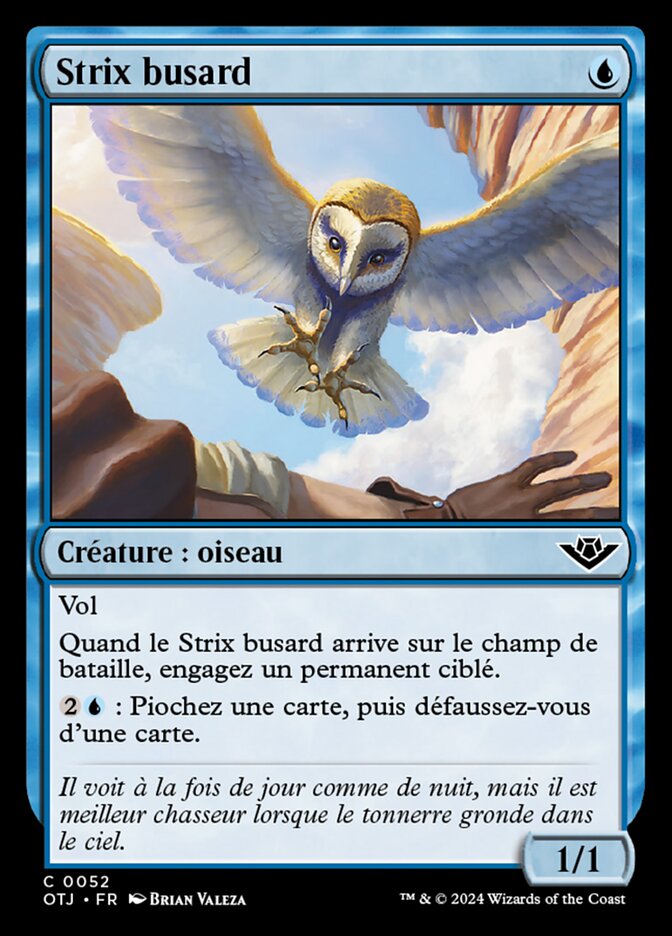 image Strix busard