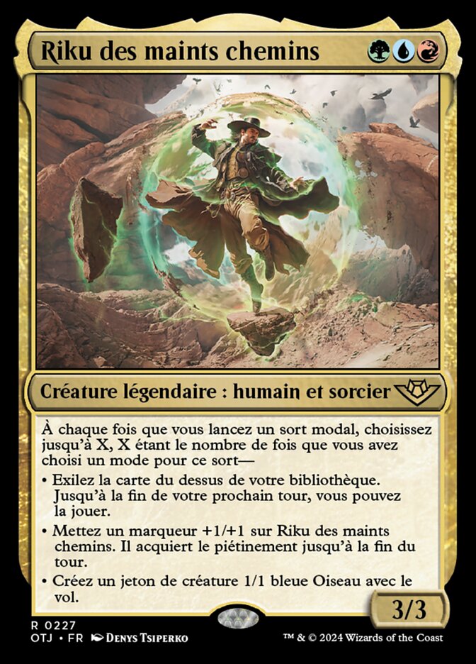 image Riku des maints chemins
