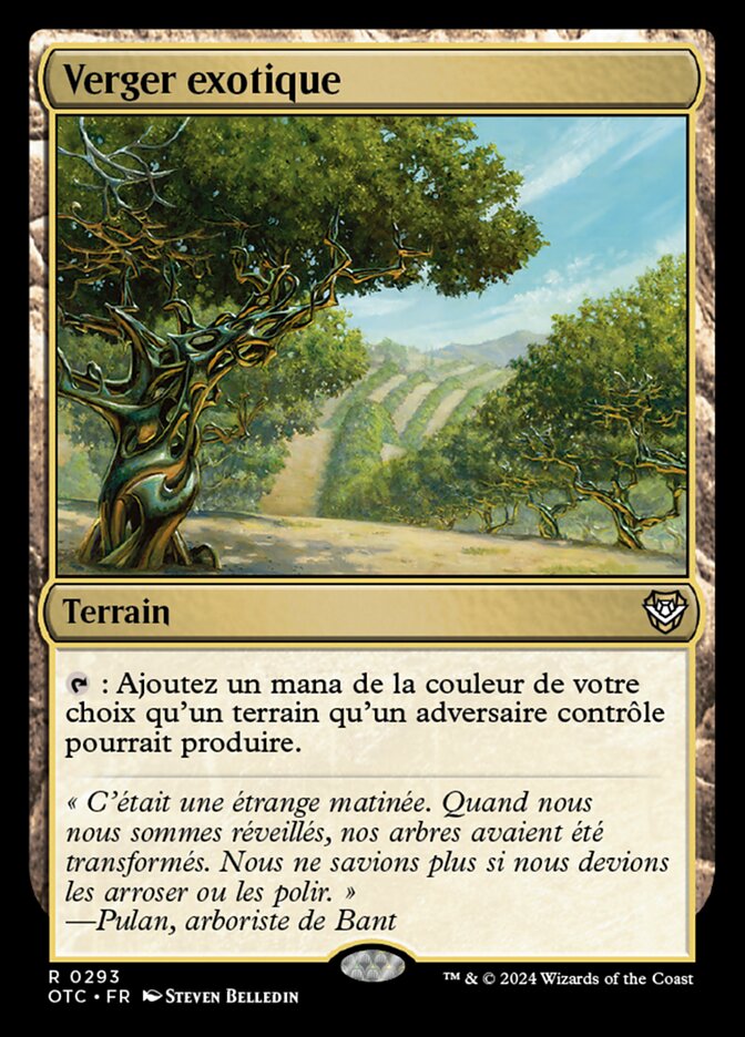 image Verger exotique